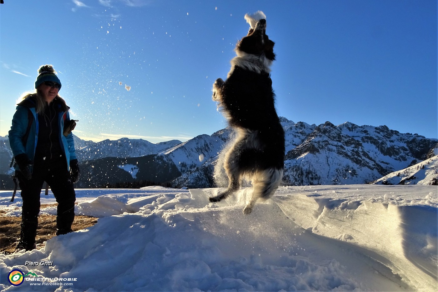 73 Nika in elevazione coglie al volo la palla di neve.JPG